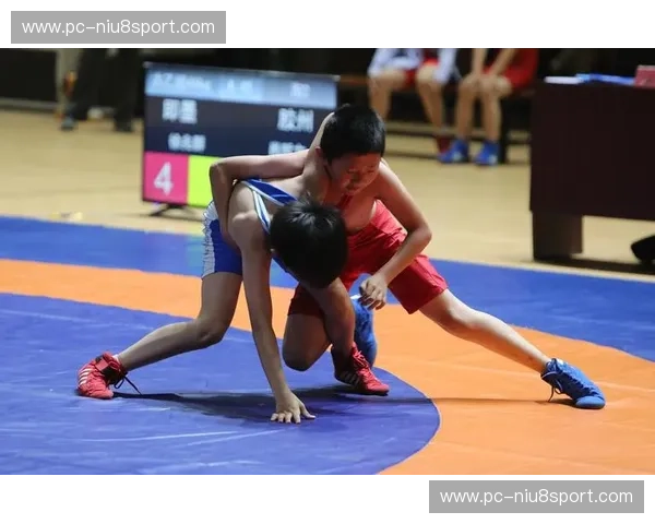 阵容摔跤：团队策略与热血碰撞的新时代